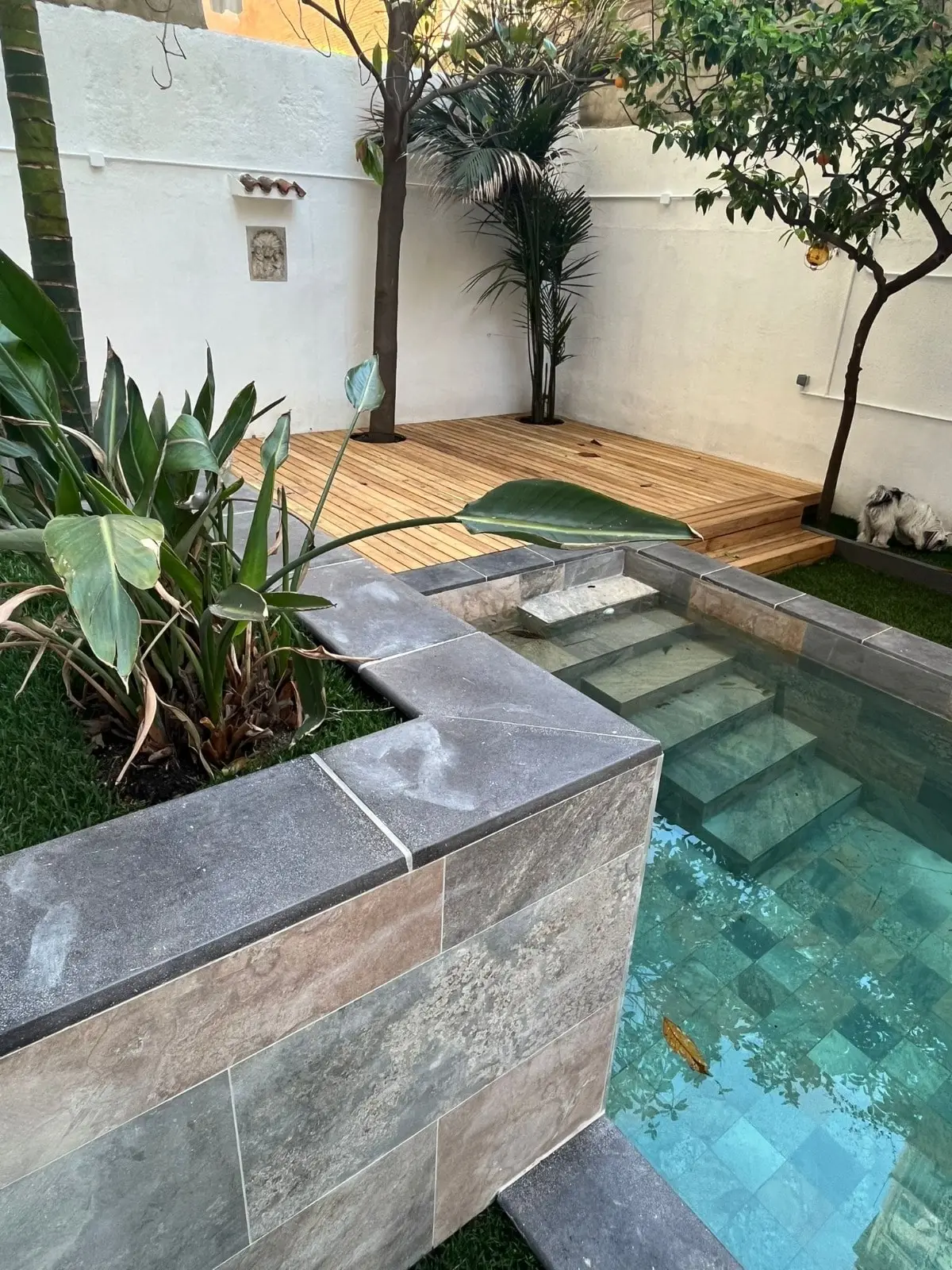 Piscina de obra con escalones y revestimiento de piedra natural
